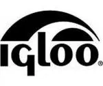 igloocoolers.com