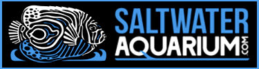 saltwateraquarium.com